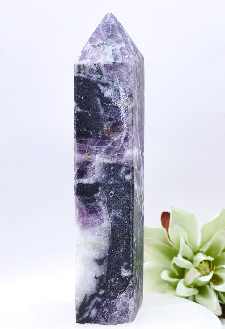 Fluorite Crystal Point | Medium Size 13cm - 301g