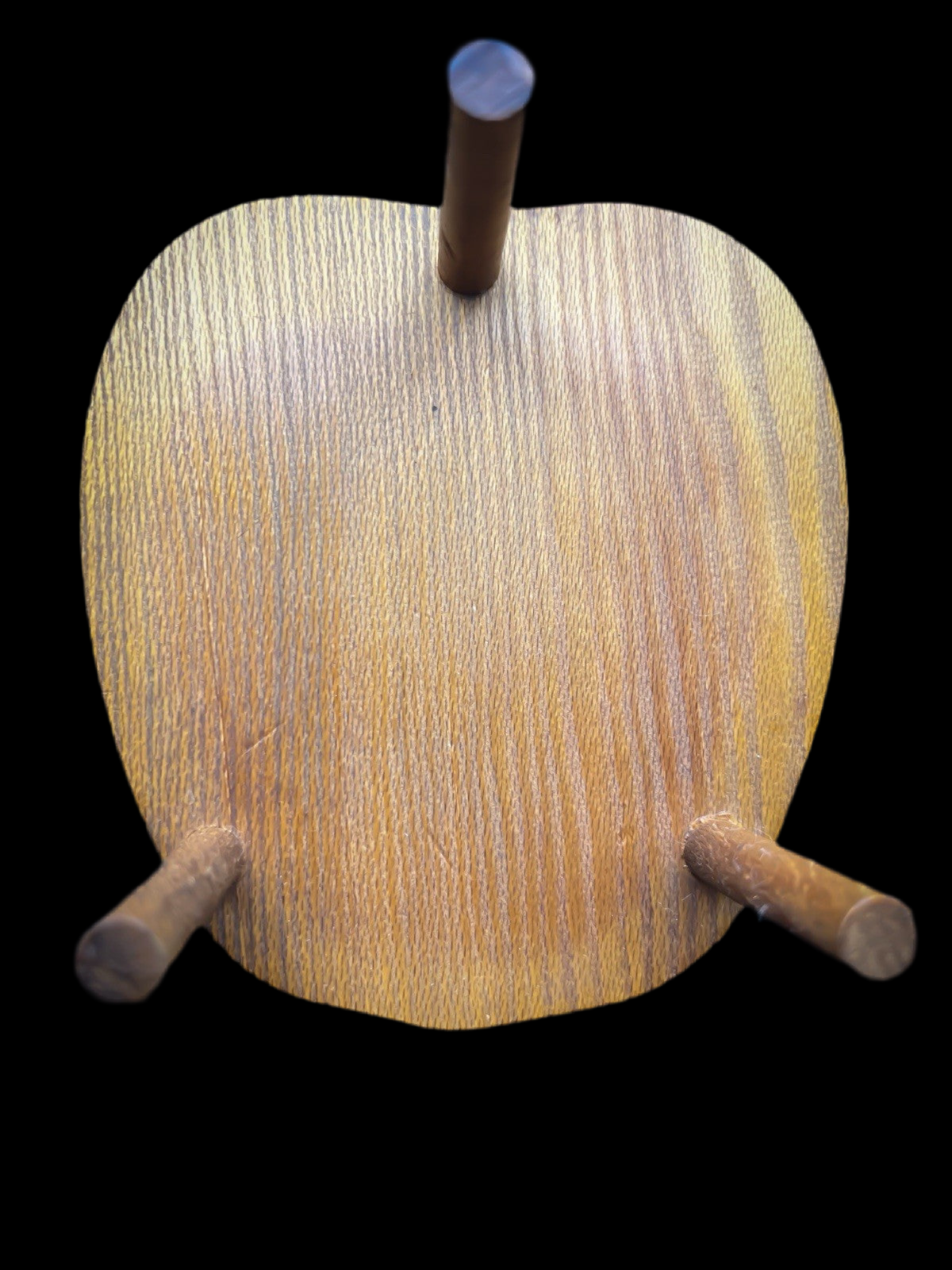 Rustic Wooden Apple Coasters Set of 6, Cork Backed With Leather Strap and Stand