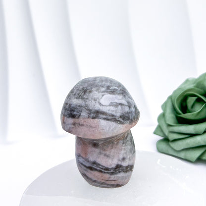Jasper Mushroom Carving #1 | 6.5cm x 140g