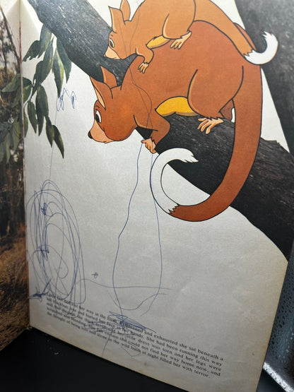 1977 Australian Children's Book Kangaroo Vintage Inscribed 1987 Rare Collectible