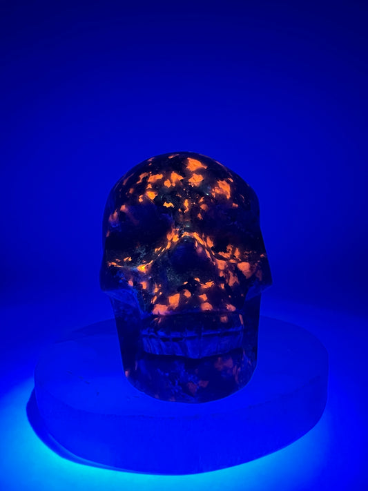 Yooperlite UV Reactive Skull || Medium Size 8cm