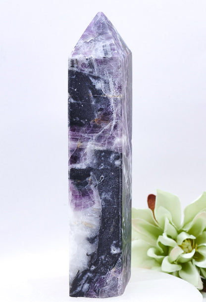 Fluorite Crystal Point | Medium Size 13cm - 301g