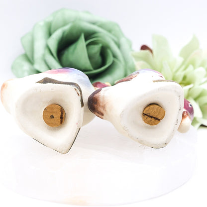 Vintage Hand-Painted Goose Salt & Pepper Shakers from Japan