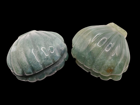Mini Shell Crystal - Genuine Ocean Jasper for Healing & Meditating