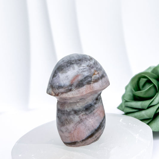 Jasper Mushroom Carving #1 | 6.5cm x 140g