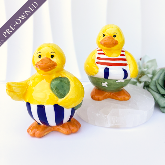 Novelty Beach Duck Salt & Pepper Shakers