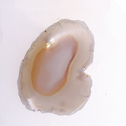 Assorted Small Agate Crystal Slices 5cm | Intuitively Chosen