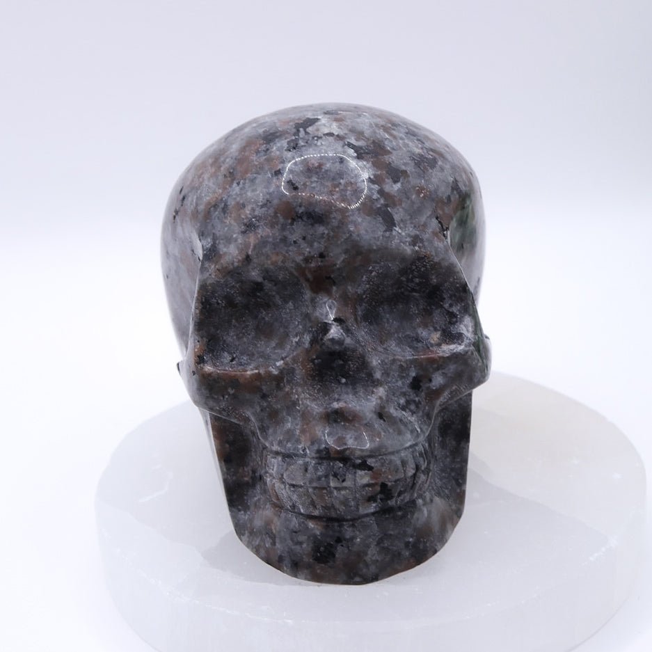 Large Spooky Halloween Bundle $280+ value