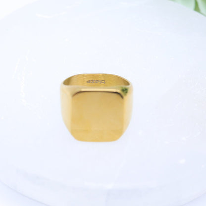 Mens Gold Toned Stainless Steel Signet Ring