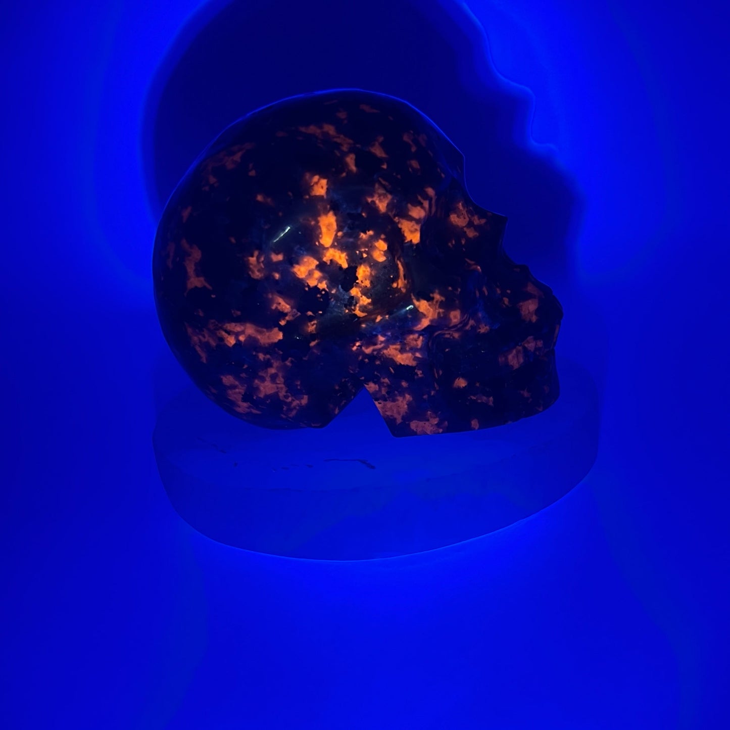 Imperfect UV Reactive Yooperlite Skull |Medium Size 8cm