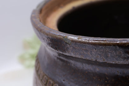 Vintage Bendigo Pottery Epsom Stoneware 15cm Lidded Canister